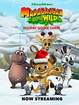 Madagascar: A Little Wild Holiday Goose Chase