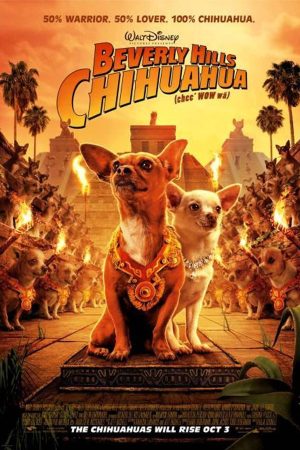 Những Chú Chó Chihuahua Ở Đồi Beverly