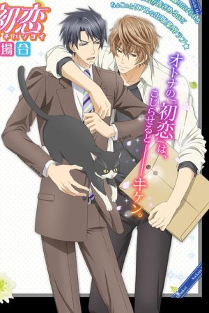 Sekaiichi Hatsukoi Movie: Yokozawa Takafumi no Baai